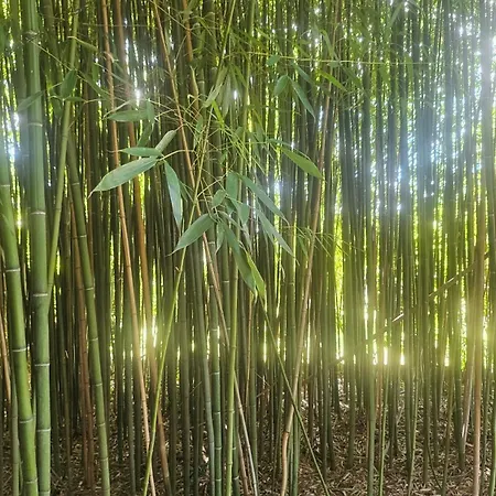 Maison Entiere Stylee Loft Le Pas Sage