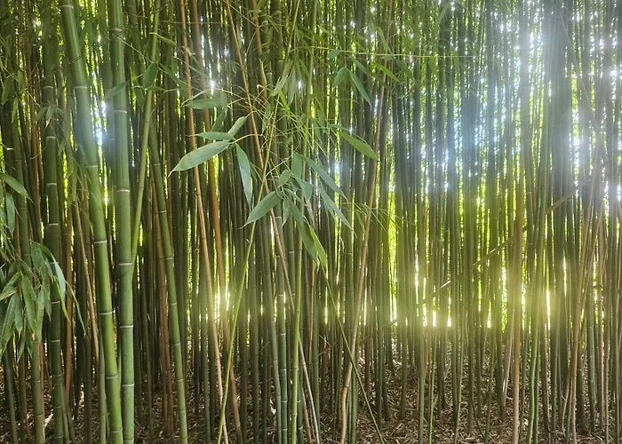 Maison Entière Stylée Loft Le Pas Sage